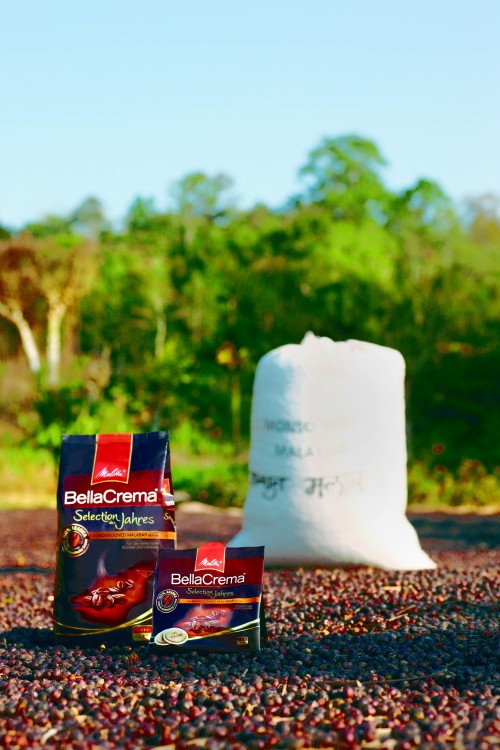 Die Melitta® BellaCrema® Selection des Jahres mit Monsooned Malabar-Bohnen – als Ganze Bohne und Pads. Im Hintergrund zum Transport verpackte, getrocknete Kaffeekirschen. (II)